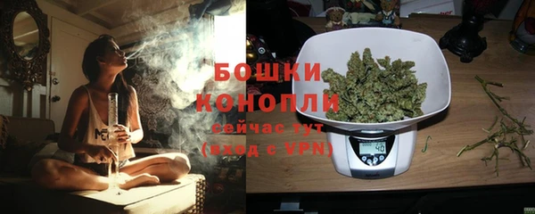 дмт Горно-Алтайск